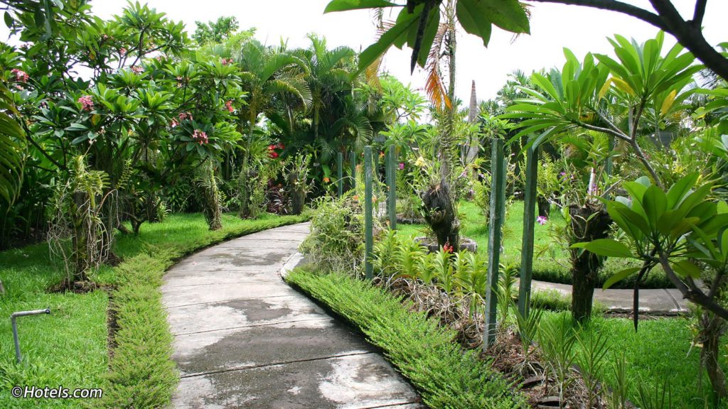 Посетите Bali Orchid Garden если вы едите на пляж Санур